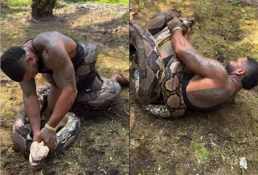 Due spezzoni video: un uomo lotta a terra in un bosco con un grande pitone reticolato che gli si avvolge intorno al corpo.